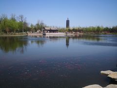 -西海子公园