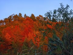 -明堂山风景区