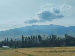 -伊犁河景区