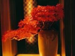 -江南足纪·影院足道·轻奢SPA(笋岗HALO广场店)