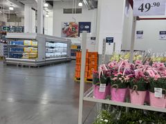 -山姆会员商店(亦庄创意生活广场店)