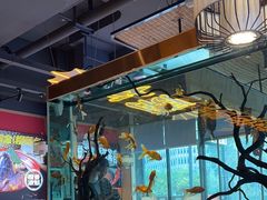 -吃城都·鱼蛙火锅(西玉龙街店)