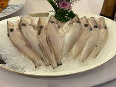 -小天鹅火锅·一线江景洪鼎旗舰店(洪崖洞店)
