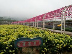-盈香心动乐园