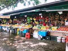 -南沙十九涌渔人码头-南门