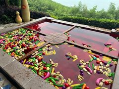 -天目湖涵田度假村