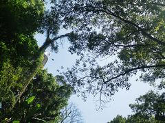 -南山植物园