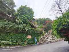 -巴倒烫陆派重庆火锅(南山店)