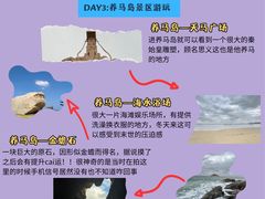 -东辰望海鱼码头·海鲜餐厅