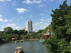 -金砂公园
