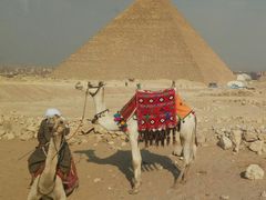 游乐设施-吉萨金字塔群