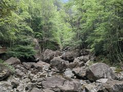 -花岩国家森林公园