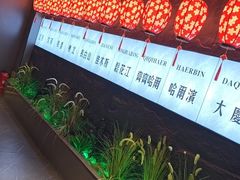 -7号院家宴.烧鸽子(门头沟店)