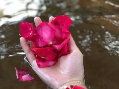 -碧水湾温泉