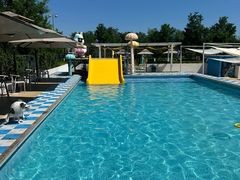 -爪吧宠物乐园 (温榆河示范区店)