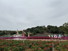 -松山湖南湖湾露营营地