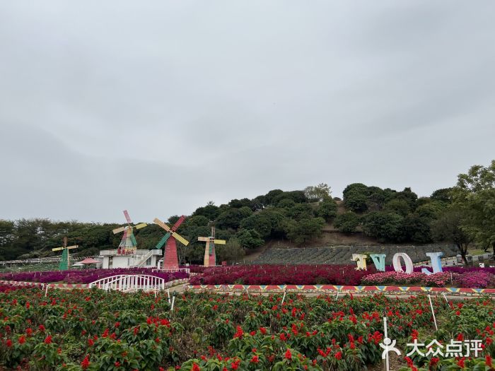 松山湖南湖湾露营营地图片