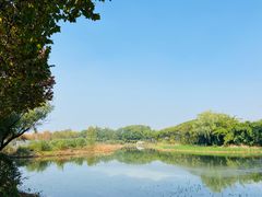 -金银湖国家城市湿地公园