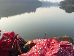 -南国桃园旅游度假区