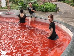 -御龙温泉度假村