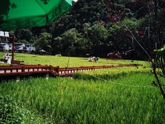 -高荡千年布依古寨旅游景区