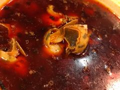 -鲜入围煮花胶鸡海鲜火锅