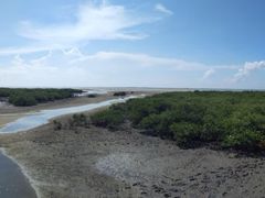 -北海金海湾红树林生态旅游区