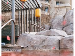 -北京乐多港万豪酒店汤乐宫温泉