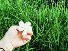 -南昌之星游乐场