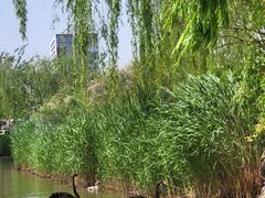 -南翠屏公园