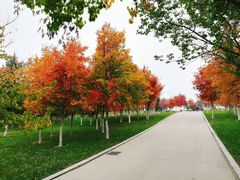 -长春世界雕塑园冰雪艺术天地
