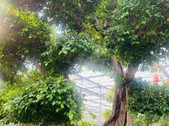 -玉祥府牛肉罩饼(金光道店)