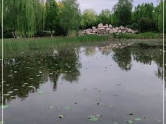 -东升八家郊野公园