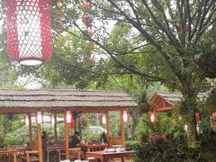 -青城甲(青城山店)