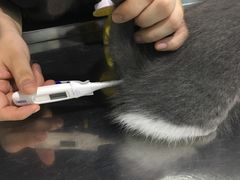 -哆趣宠物医院·眼科·内镜·急重症转诊中心(上海店)