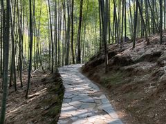 -黄山翡翠谷景区