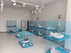 -翊宠yipet猫狗购宠庄园犬舍•猫舍