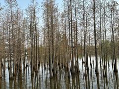-白鹭湾湿地公园