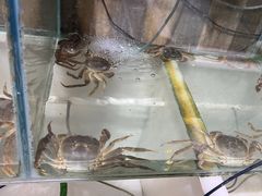 -七星龙虾城·海鲜·大闸蟹(吴江店)