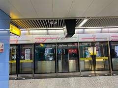 -大龙山(地铁站)