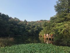 -天目湖山水园