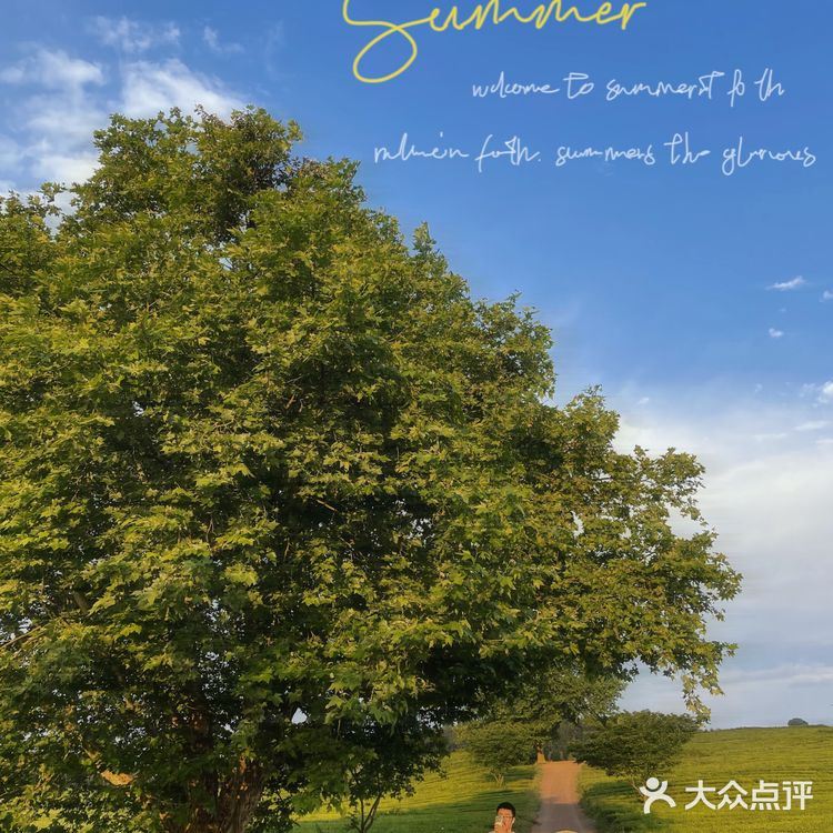 位于花溪的羊艾茶场，非常推荐大家伙去看看