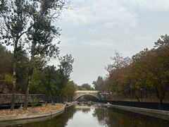-白水寺森林公园