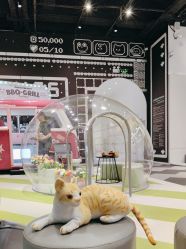 -MINI MARS KIDS CLUB亲子家庭中心(长宁天山店)