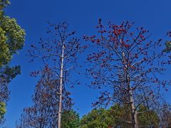 -惠州西湖风景名胜区-丰渚园