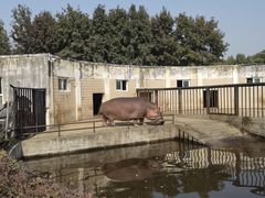 -合肥野生动物园