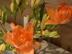 -春暖花开(西溪店)