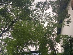 -三圣花乡旅游区