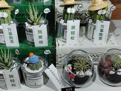 -合景·悠方(成都店)