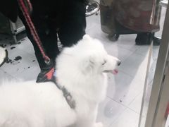 -宠福鑫康馨动物医院·骨科·眼科
